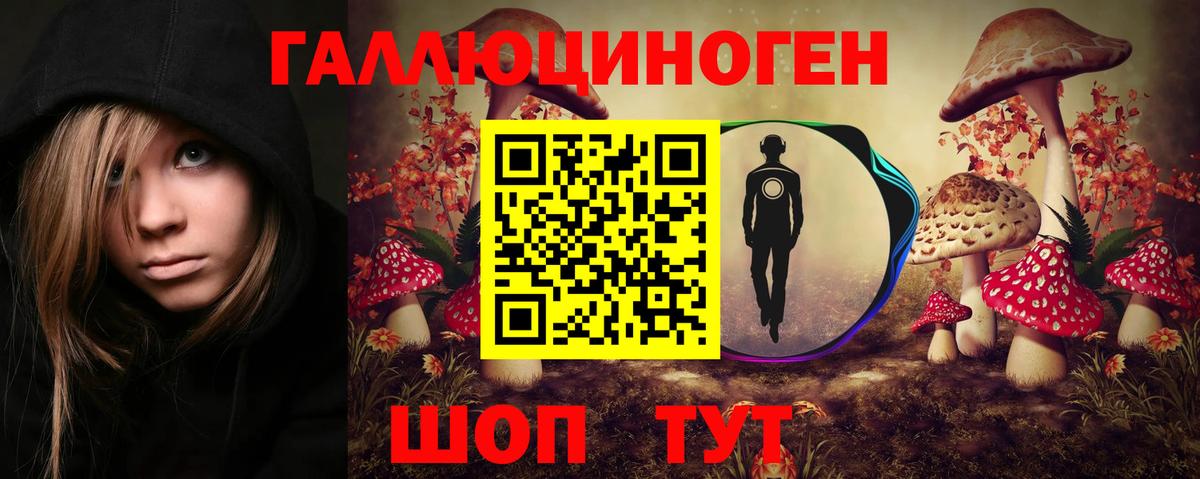 Галлюциногенные грибы Psilocybe Черногорск